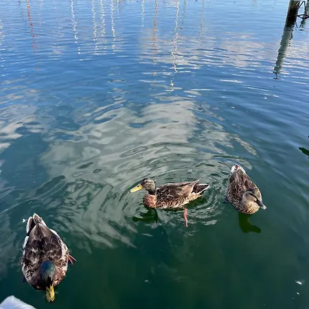 Maduco, Waterfront Krabben Båthotell Nyborg